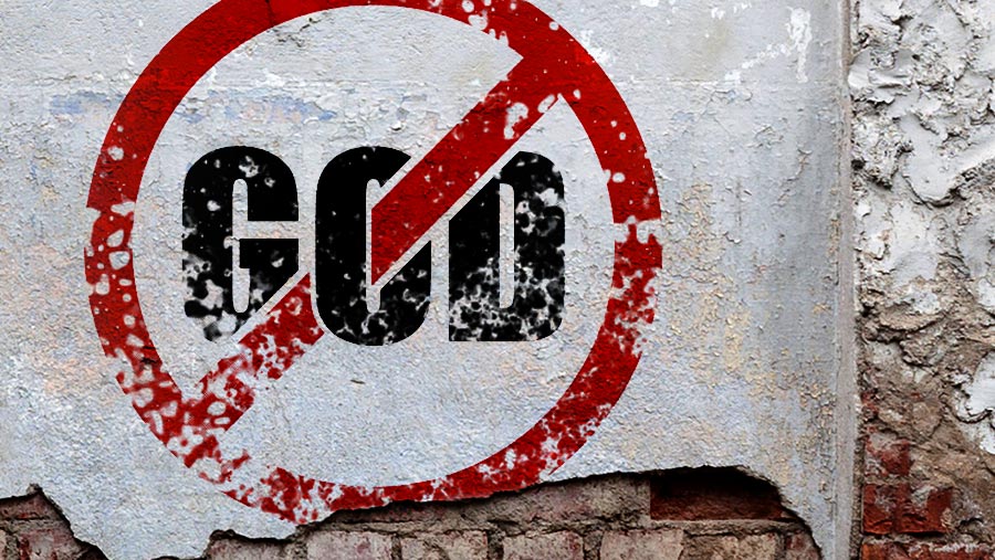 Atheism-Wall-Crumbling-Faded-Ruined-Sad-900