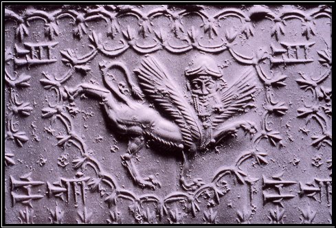 Image2