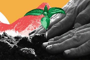 land-climate-change