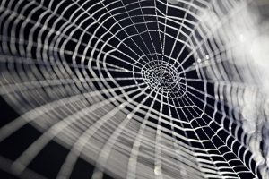 systems-thinking-1024x682