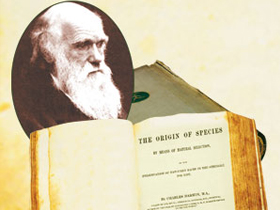 16113_turlerin_kokeni_the_origin_of_species-charles_darwin