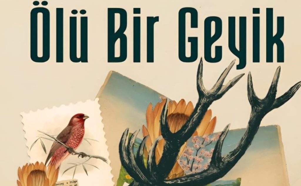 Bir-kitap.jpg