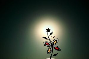 images (5)