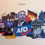 AfD’nin Yükselişine Farklı Bakış-Yanlış Teşhisin Bedeli: FDP Berlin’in Söylem Krizi ve Seçmen Kaybının Anatomisi